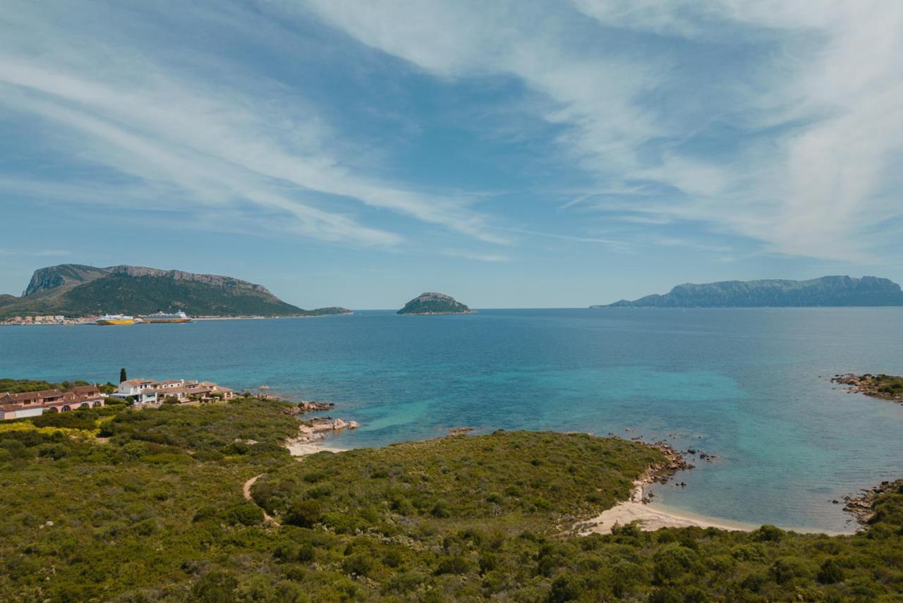 La Terrazza Blu Βίλα Santa Marinella Εξωτερικό φωτογραφία